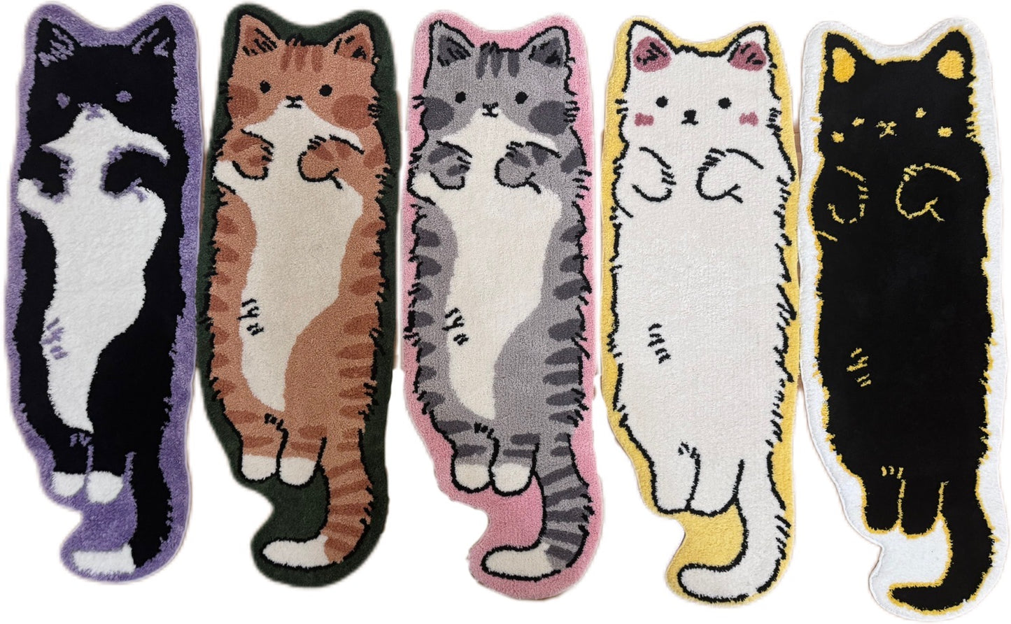 Cute Cat
