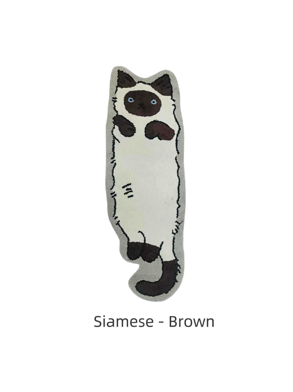 Cute Cat